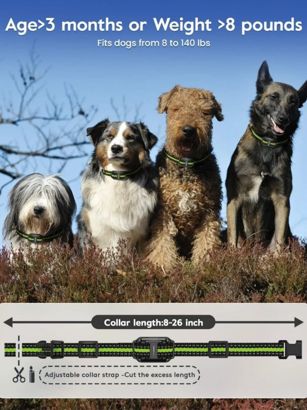 Waterproof Dog Training Collar with Remote, 4200FT Range, Beep & Vibration Modes